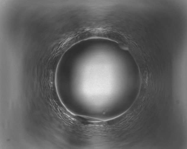 X0000086051301200703231256