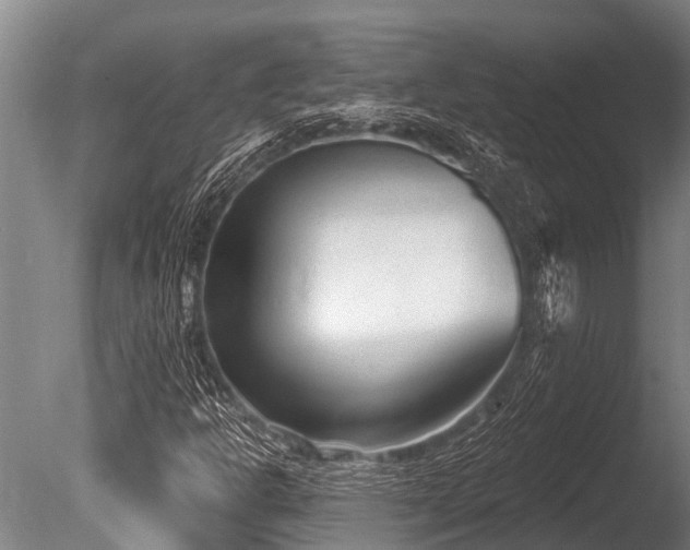 X0000086051302200703231256