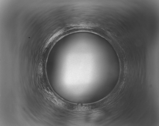 X0000086051307200703231256