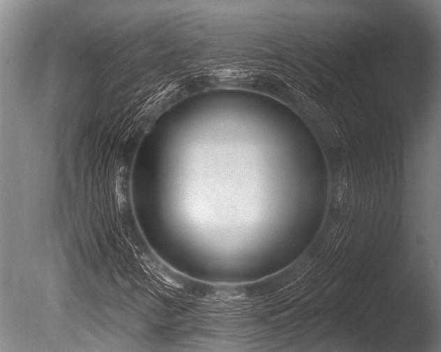 X0000086051346200703231256