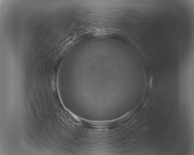 X0000086051348200703231256