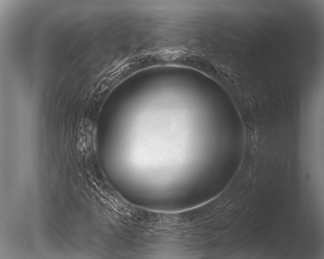 X0000086051349200703231256