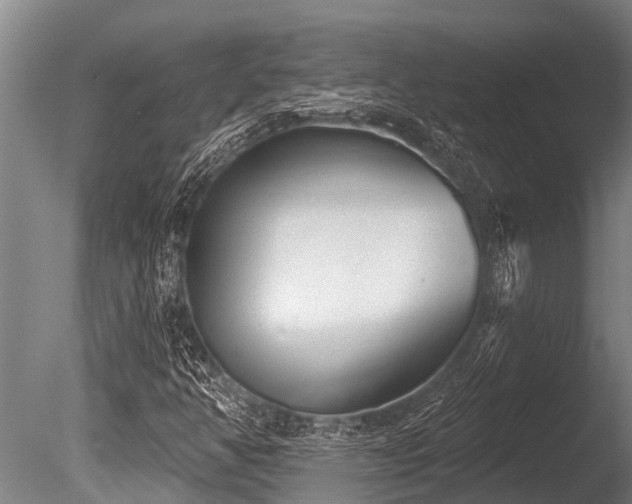 X0000086051350200703231256