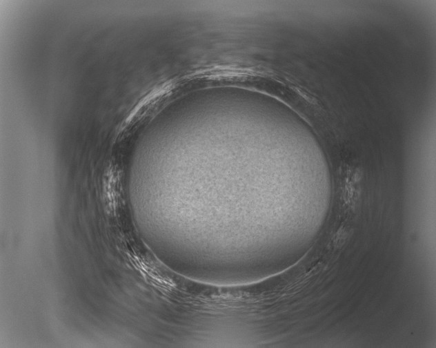 X0000086051351200703231256