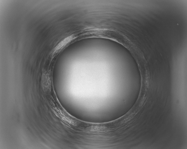X0000086051354200703231256
