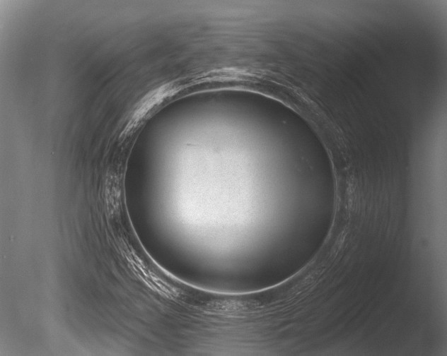 X0000086051355200703231256
