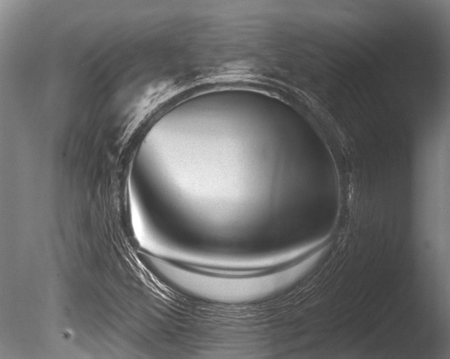 X0000086051356200703231256