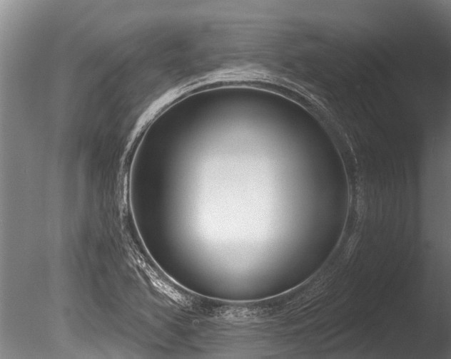 X0000086051366200703231256