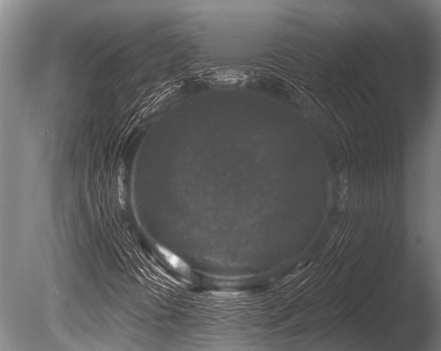 X0000086051394200703231254