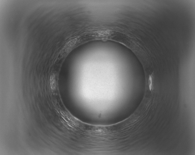 X0000086051395200703231254