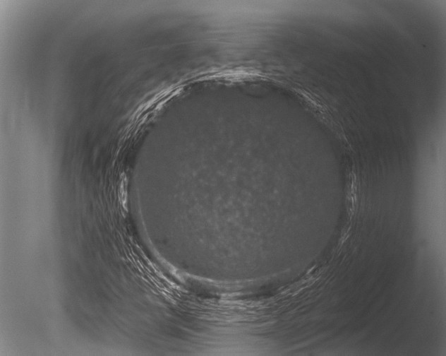 X0000086051398200703231255