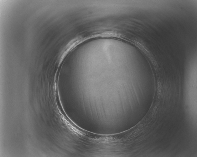 X0000086051428200703231255