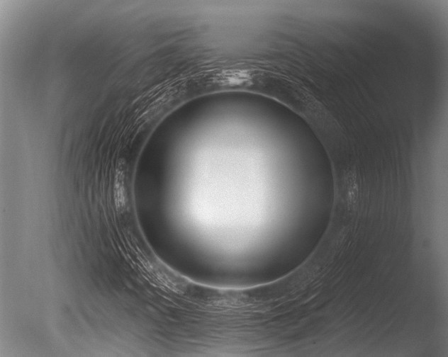X0000086051442200703231254