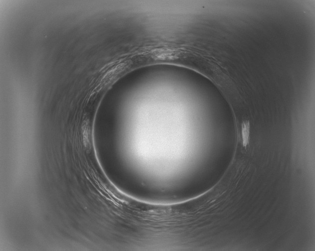 X0000086051444200703231254