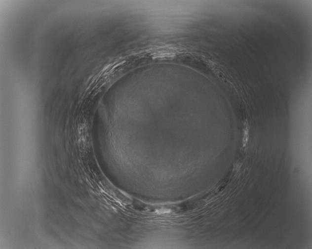 X0000086051445200703231254