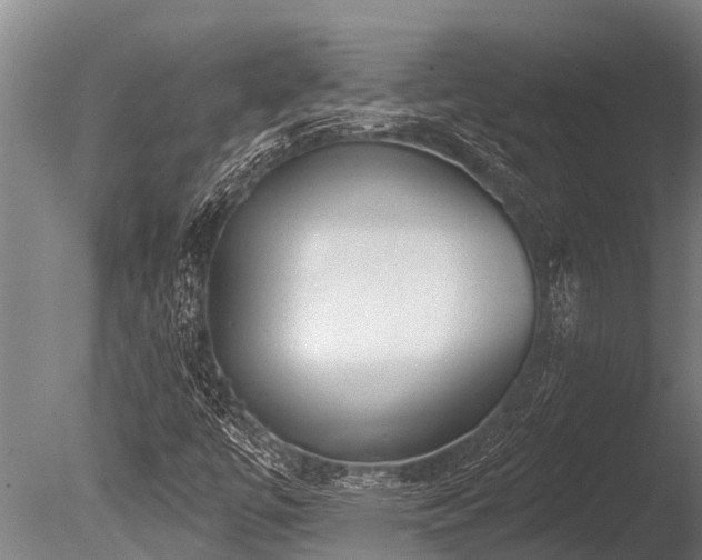 X0000086051447200703231254