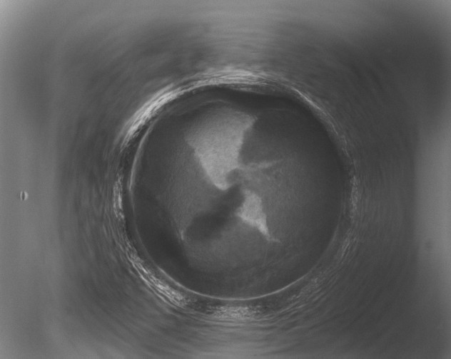X0000086051455200703231254
