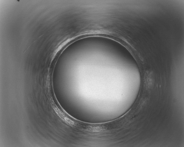 X0000086051460200703231254