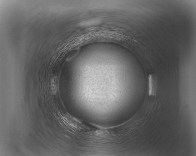 X0000086051491200703231253