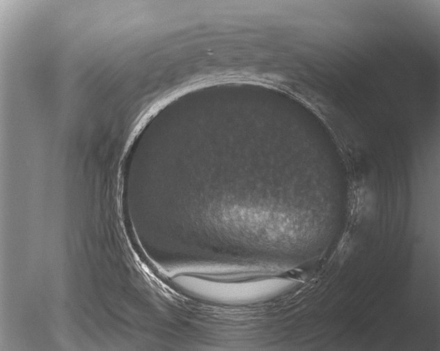 X0000086051508200703231253