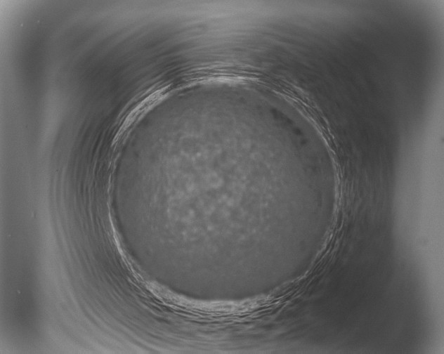 X0000086050001200703301118