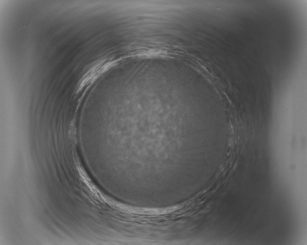 X0000086050002200703301118
