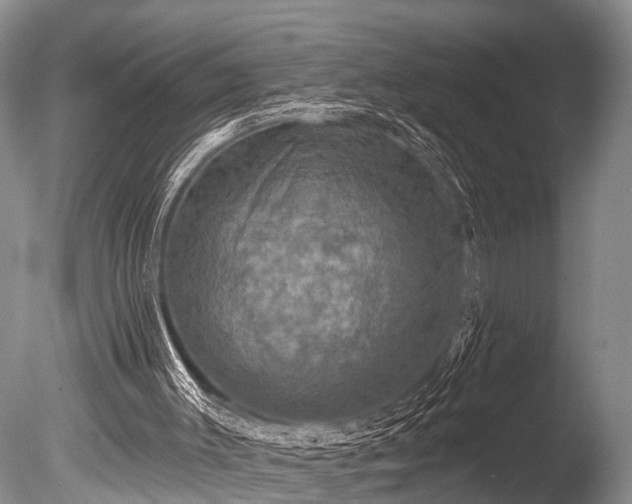 X0000086050003200703301118