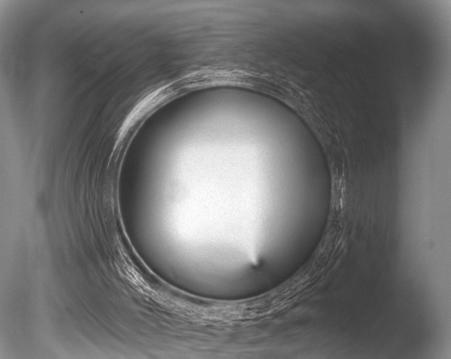 X0000086050004200703301118