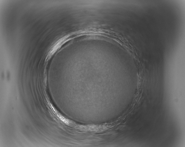 X0000086050005200703301118