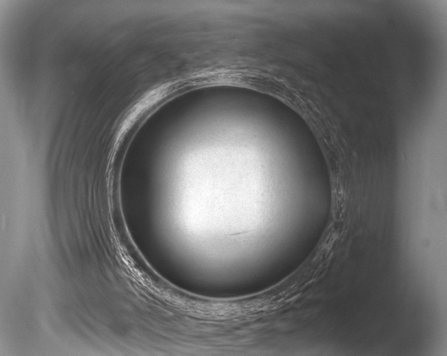 X0000086050006200703301118