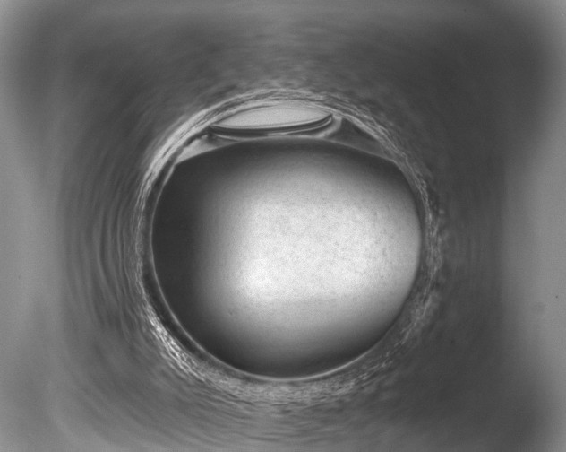 X0000086050007200703301118