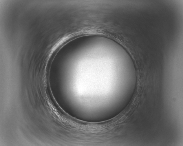 X0000086050008200703301118