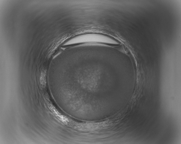 X0000086050009200703301118