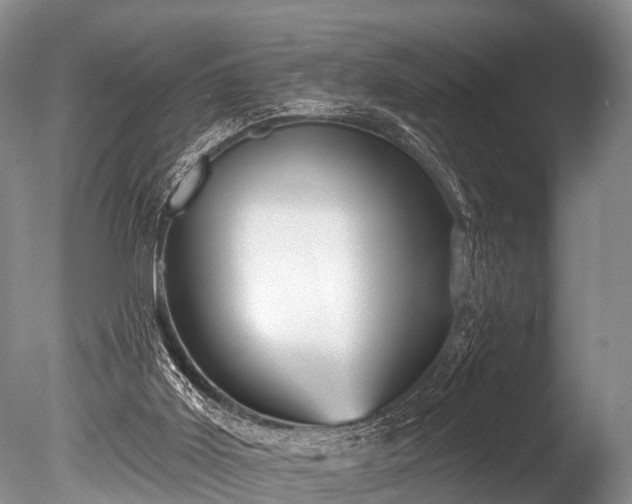 X0000086050011200703301118