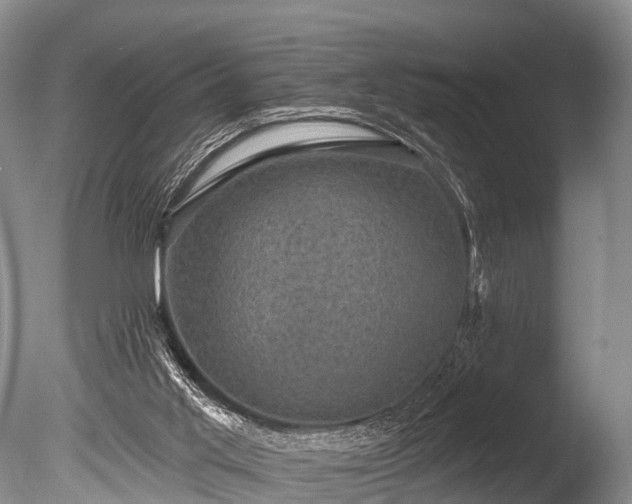 X0000086050013200703301118