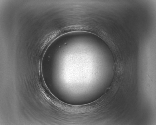 X0000086050014200703301118