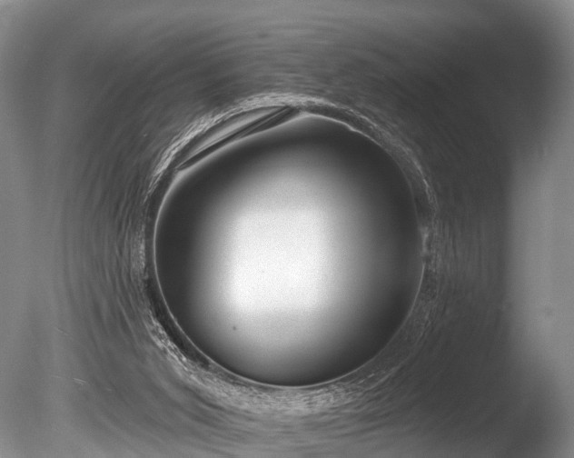 X0000086050015200703301118