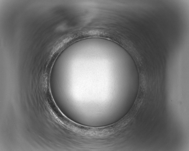 X0000086050016200703301118