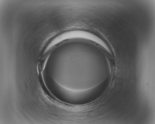X0000086050019200703301118
