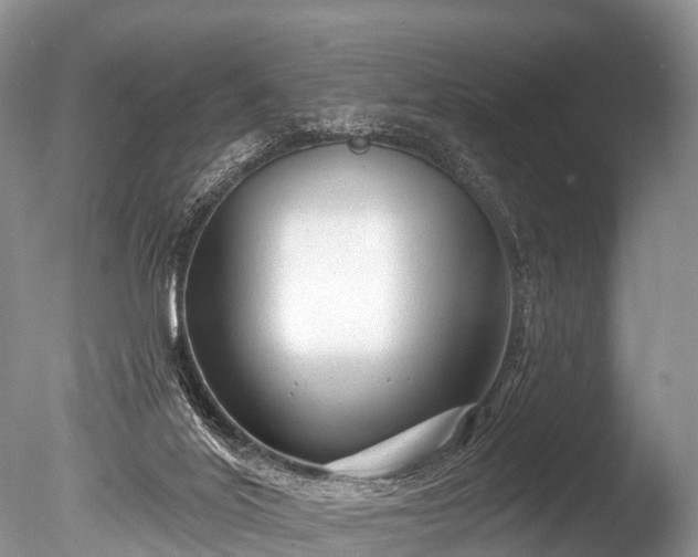 X0000086050020200703301118