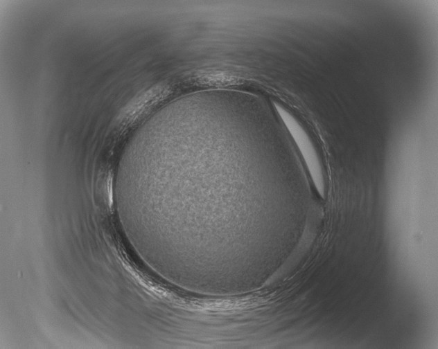 X0000086050021200703301118