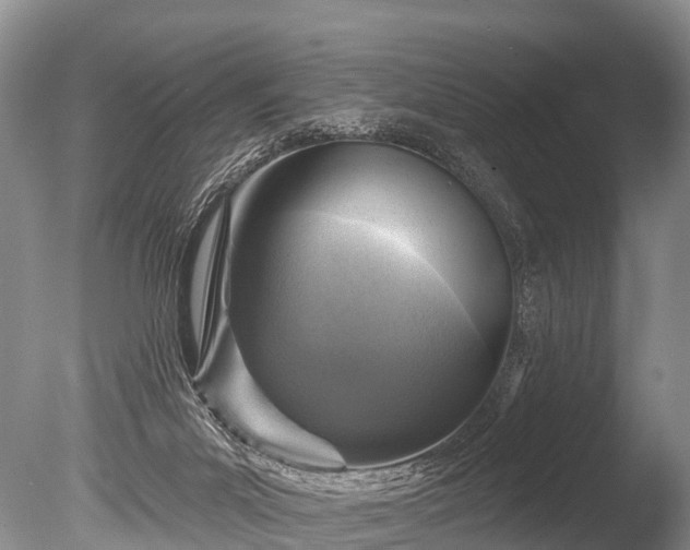 X0000086050023200703301118