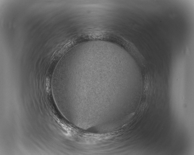 X0000086050025200703301118