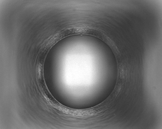 X0000086050026200703301118