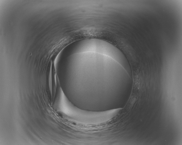 X0000086050027200703301118