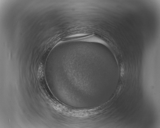 X0000086050029200703301118