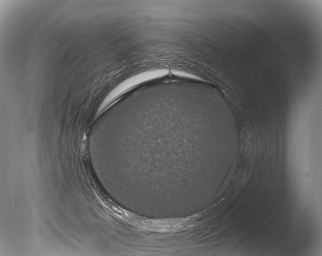 X0000086050033200703301117