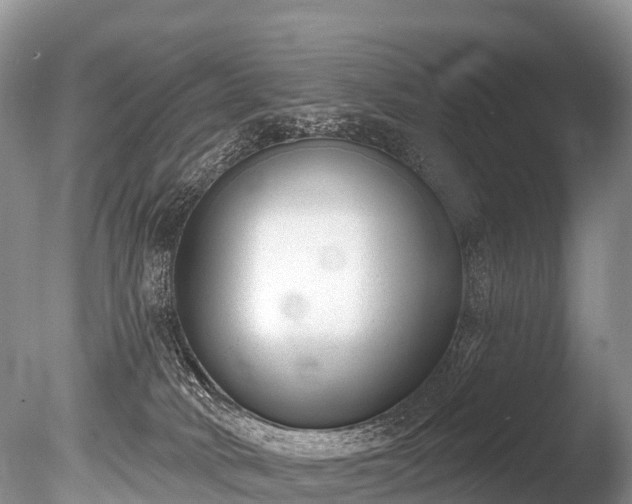X0000086050034200703301117