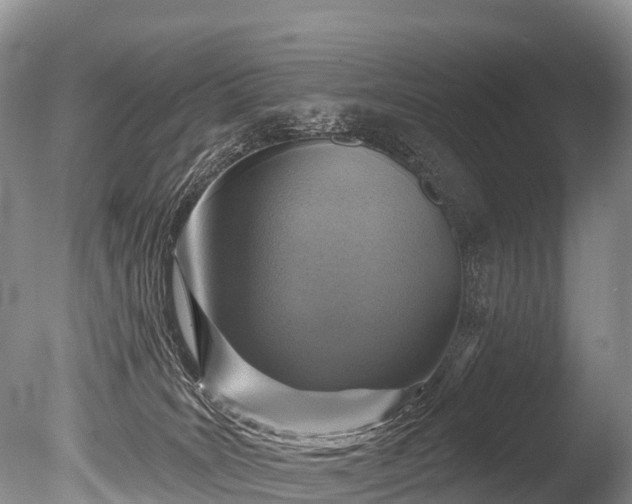 X0000086050035200703301117