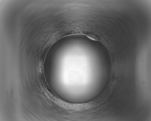 X0000086050038200703301117